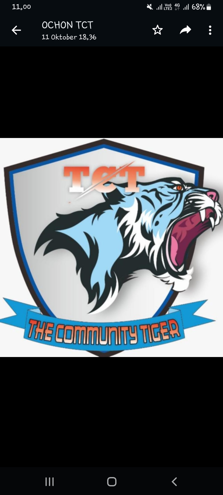 THE COMUNITY TIGER